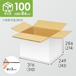 【宅配100サイズ】小箱ぴったり梱包用ダンボール箱［FBOX-07・6箱］（310×243×274mm）3mm B/F 白C5×C5