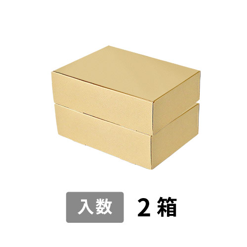 【宅配80サイズ】小箱ぴったり梱包用ダンボール箱［FBOX-08・2箱］（333×240×196mm）3mm B/F 白C5×C5