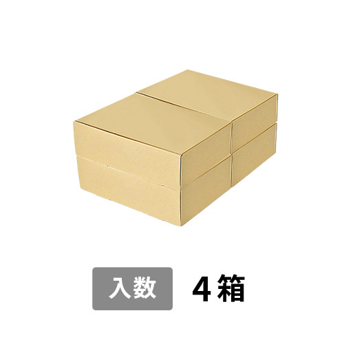 【宅配120サイズ】小箱ぴったり梱包用ダンボール箱［FBOX-08・4箱］（470×333×196mm）3mm B/F C5×C5