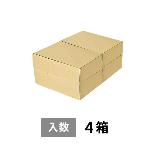 【宅配120サイズ】小箱ぴったり梱包用ダンボール箱［FBOX-08・4箱］（470×333×196mm）3mm B/F 白C5×C5