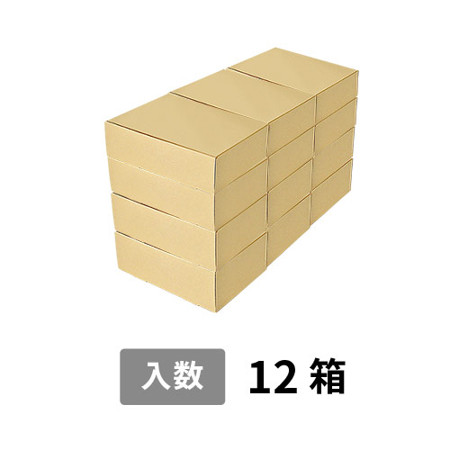 【宅配160サイズ】小箱ぴったり梱包用ダンボール箱［FBOX-08・12箱］（700×333×382mm）3mm B/F 白C5×C5