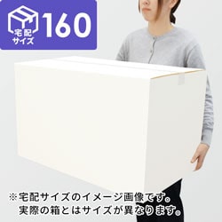 【宅配160サイズ】小箱ぴったり梱包用ダンボール箱［FBOX-08・12箱］（700×333×382mm）3mm B/F 白C5×C5