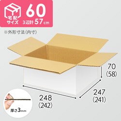 【宅配60サイズ】小箱ぴったり梱包用ダンボール箱［NE-38・4箱］（242×241×58mm）3mm B/F 白C5×C5