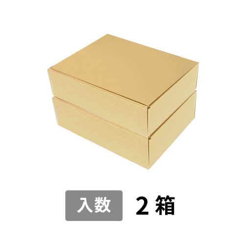 【宅配60サイズ】小箱ぴったり梱包用ダンボール箱［NE-41・2箱］（210×161×138mm）5mm A/F K5×K5