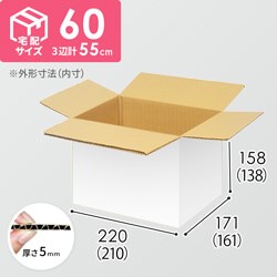 【宅配60サイズ】小箱ぴったり梱包用ダンボール箱［NE-41・2箱］（210×161×138mm）5mm A/F 白C5×C5