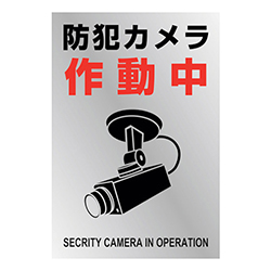緑十字 イラストステッカー標識 防犯カメラ作動中 ＰＥＴ 220×150mm（2枚組） 047134