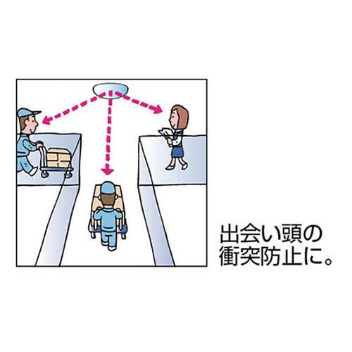 コミー ラミ 480×247mm L5