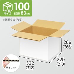 【宅配100サイズ】小箱ぴったり梱包用ダンボール箱［NE-41・8箱］（312×210×266mm）5mm A/F 白C5×C5