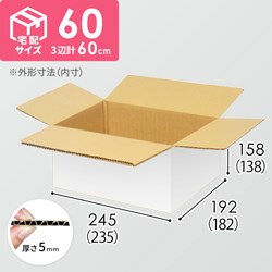 【宅配60サイズ】小箱ぴったり梱包用ダンボール箱［NE-45・2箱］（235×182×138mm）5mm A/F 白C5×C5