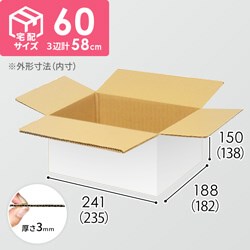 【宅配60サイズ】小箱ぴったり梱包用ダンボール箱［NE-45・2箱］（235×182×138mm）3mm B/F 白C5×C5