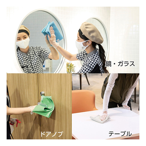 テラモト ＦX制菌クロス CL3749301