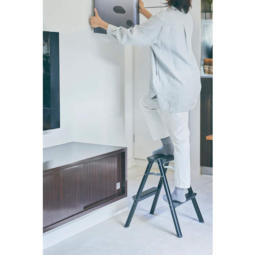 ハセガワ アルミ踏台 ＳＥ型 2段 レッド SE6ARD