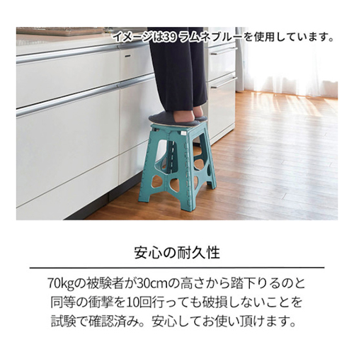 ＴＥＮＭＡ フォールディングステップ３９ 811000767