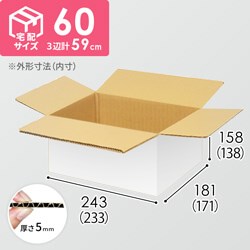 【宅配60サイズ】小箱ぴったり梱包用ダンボール箱［WBOX-01・2箱］（233×171×138mm）5mm A/F 白C5×C5