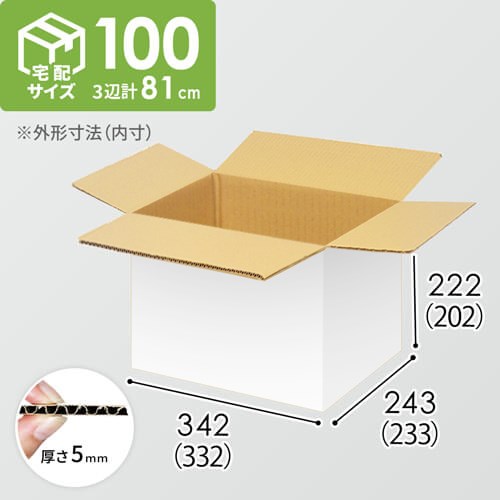 【宅配100サイズ】小箱ぴったり梱包用ダンボール箱［WBOX-01・6箱］（332×233×202mm）5mm A/F 白C5×C5