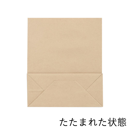 ワンポイント印刷紙袋（茶・平紐・幅200×マチ90×高さ240mm・両面印刷)