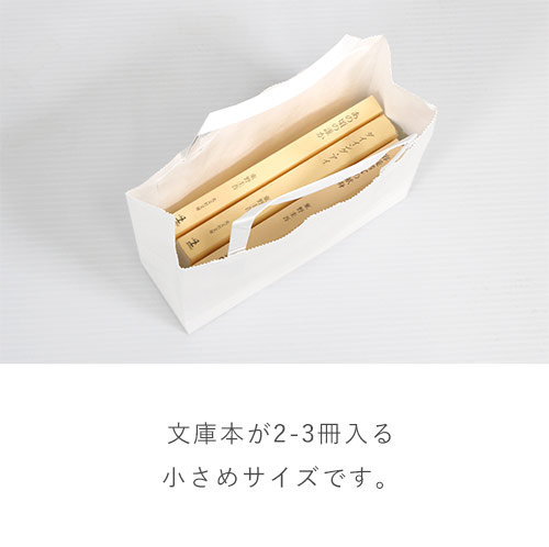 ワンポイント印刷紙袋（白・平紐・幅180×マチ60×高さ165mm・両面印刷)