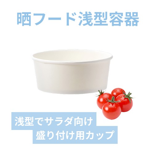 HEIKO 食品容器 晒フードカップPP 浅型 750ml 150口径 25個