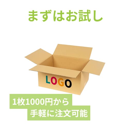 【ロゴ印刷・フルカラー・3面】宅配80サイズ 佐川エクスプレスBOX（Mサイズ）