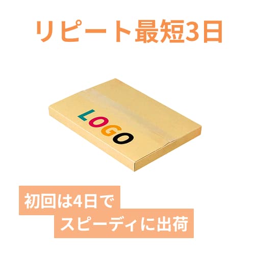 【ロゴ印刷・フルカラー】厚さ3cm・ヤッコ型ケース（クリックポスト最大・A4サイズ）