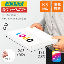 【ロゴ印刷・フルカラー】厚さ2.5・ヤッコ型ケース（白・B5サイズ）