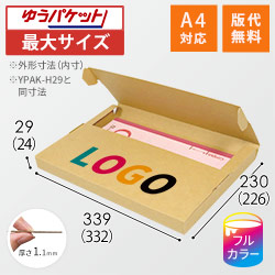 【ロゴ印刷・フルカラー】厚さ3cm・テープレスケース（クリックポスト最大・A4サイズ）