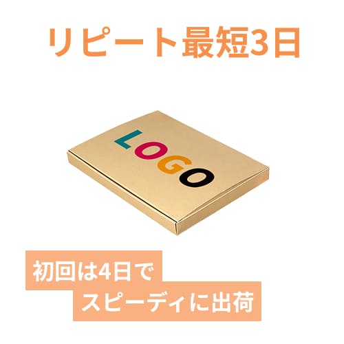 【ロゴ印刷・フルカラー】厚さ3cm・N式ケース（A4サイズ・シャツ用）