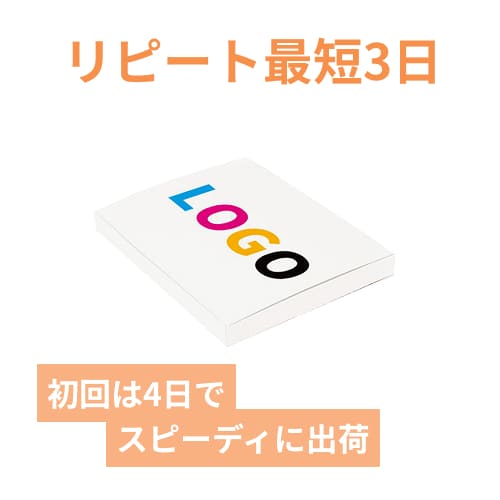 【ロゴ印刷・フルカラー】厚さ3cm・N式ケース（白・A4サイズ）