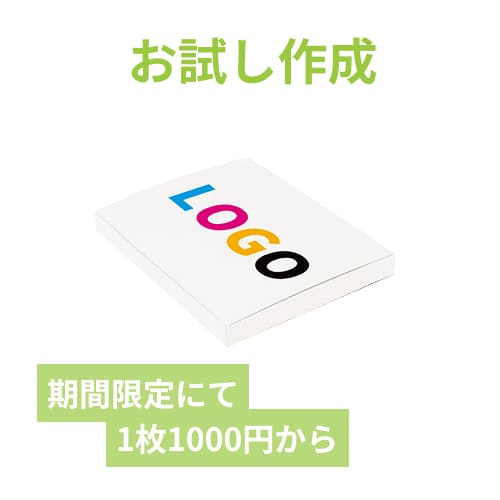 【ロゴ印刷・フルカラー】厚さ3cm・N式ケース（白・A4サイズ）