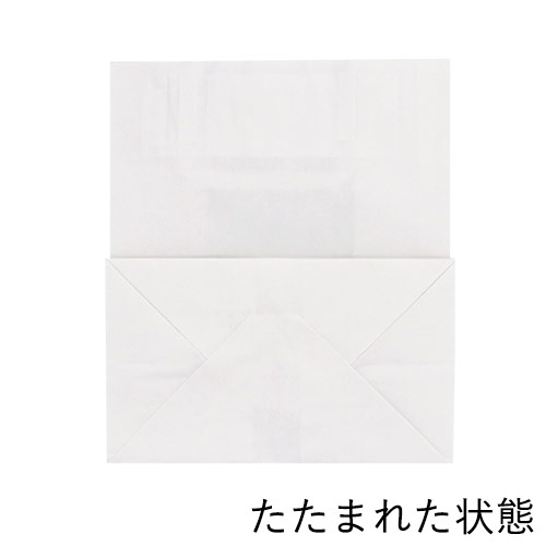 手提げ紙袋（白・平紐・幅220×マチ130×高さ255mm）