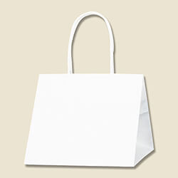 手提げ紙袋（白・口折丸紐・幅220×マチ220×高さ200mm）