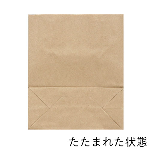 手提げ紙袋（茶・平紐・幅200×マチ90×高さ240mm）