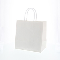 手提げ紙袋（白・口折丸紐・幅260×マチ160×高さ265mm）