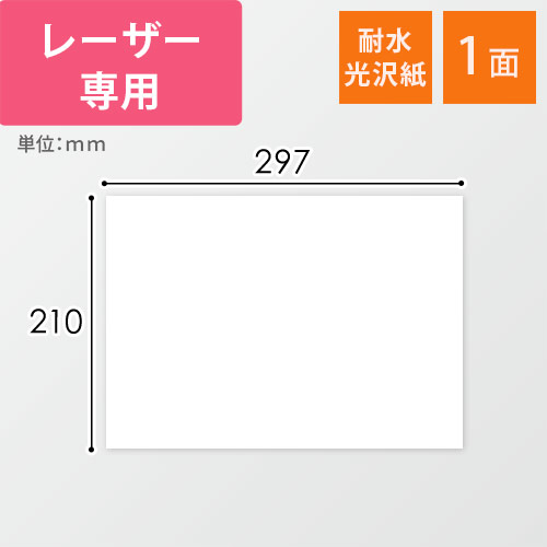 無地ラベルシール用紙（A4サイズ・210×297mm・1面・耐水光沢紙）