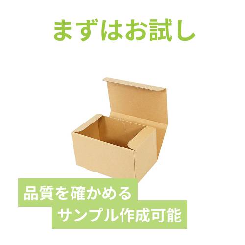【ロゴ印刷・フルカラー・表面印刷】小型・宅配50サイズ・N式ケース（205×117×114mm）