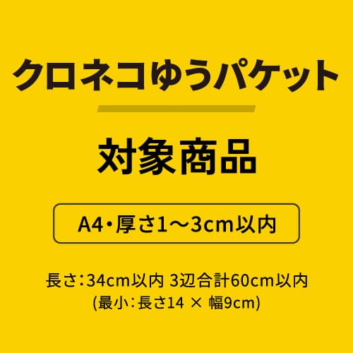 【印刷サンプル】【ロゴ印刷・フルカラー】厚さ2cm・テープレスケース（クロネコゆうメール便最大・A4サイズ）
