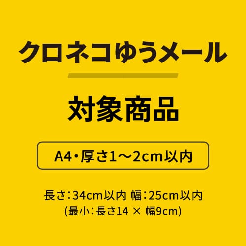 【印刷サンプル】【ロゴ印刷・フルカラー】厚さ2cm・テープレスケース（クロネコゆうメール便最大・A4サイズ）