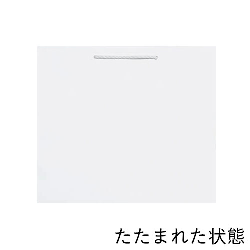手提げ紙袋（白・丸紐・幅340×マチ260×高さ300mm）