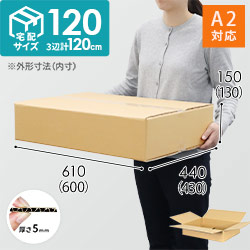 【宅配120サイズ】ダンボール箱（600×430×130mm・底面A2）