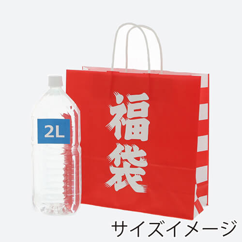手提げ紙袋（福袋・丸紐・幅320×マチ115×高さ310mm）
