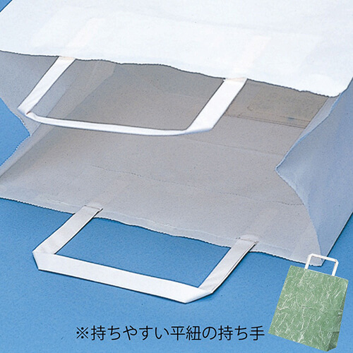 手提げ紙袋（雲竜緑・平紐・幅220×マチ130×高さ255mm）