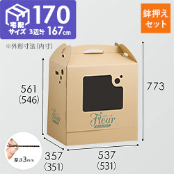 フラワー発送 BOX（鉢押えセット・531×351×546mm）【宅配170サイズ】