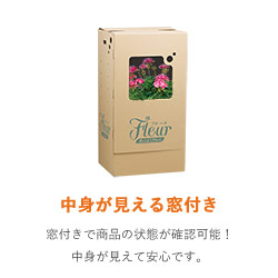 フラワー発送 BOX（鉢押えセット・476×376×891mm）【宅配180サイズ】