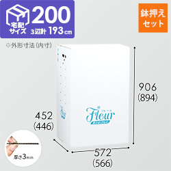 フラワー発送 BOX（鉢押えセット・566×446×894mm）【宅配200サイズ】