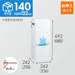 フラワー発送 BOX（鉢押えセット・256×256×680mm）【宅配140サイズ】