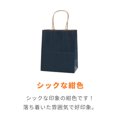手提げ紙袋（紺・丸紐・幅210×マチ120×高さ250mm）