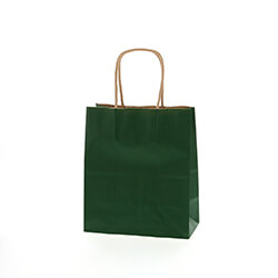 手提げ紙袋（緑・丸紐・幅210×マチ120×高さ250mm）