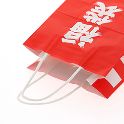 手提げ紙袋（福袋・丸紐・幅210×マチ120×高さ250mm）
