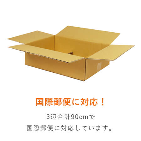 【宅配100サイズ】ダンボール箱（定形外郵便最大・国際郵便対応）洋服用