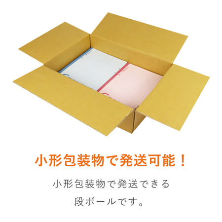 【宅配100サイズ】ダンボール箱（定形外郵便最大・国際郵便対応）洋服用